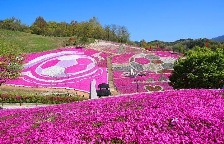 꽃잔디·철쭉·계곡·생태·농특산…봄, 산청으로 올 일이다
