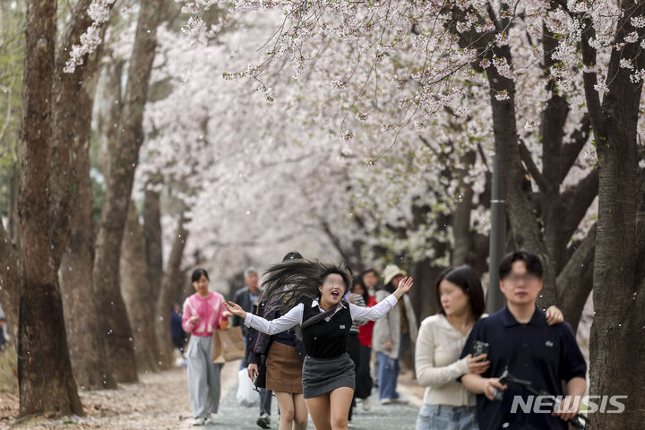 [서울=뉴시스] 정병혁 기자 = 완연한 봄 날씨를 보인 지난 8일 서울 서초구 양재천을 찾은 시민들이 만개한 벚꽃을 바라보며 즐거운 시간을 보내고 있다. 2024.04.08. jhope@newsis.com
