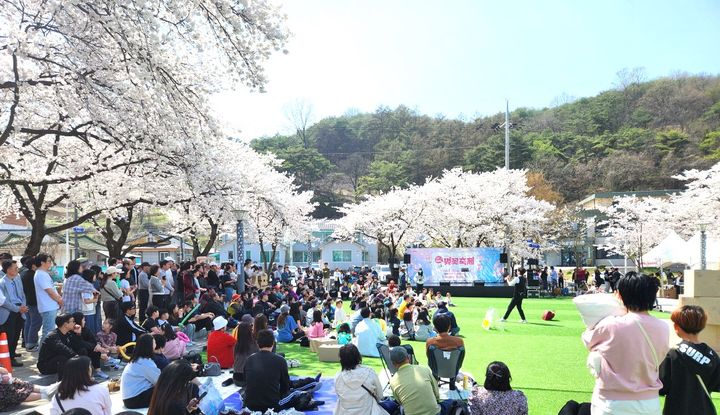 제천 청풍호 벚꽃축제 19만 구름 인파…매출도 껑충