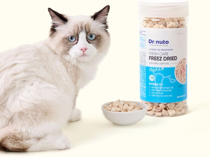 대상펫라이프 '닥터뉴토'의 고양이 구강 건강 간식 제품 모습. 사진은 헤일리 클럽과 직접 관련 없음.(사진=대상펫라이프 홈페이지 갈무리) *재판매 및 DB 금지