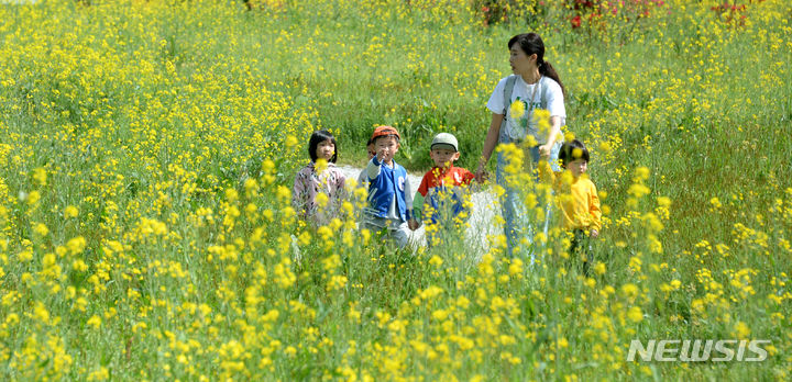 [전주=뉴시스] 김얼 기자 = 전북 전주대학교 스타정원을 찾은 어린이들이 만개한 유채꽃 사이를 지나며 추억을 쌓고 있다. 2024.04.17. pmkeul@newsis.com