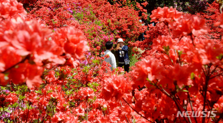 [전주=뉴시스] 김얼 기자 = 따뜻한 봄 날씨가 이어지고 있는 18일 전북 전주시 완산구 완산공원 꽃동산을 찾은 시민들이 활짝 핀 철쭉을 바라보며 봄나들이를 즐기고 있다. 2024.04.18. pmkeul@newsis.com