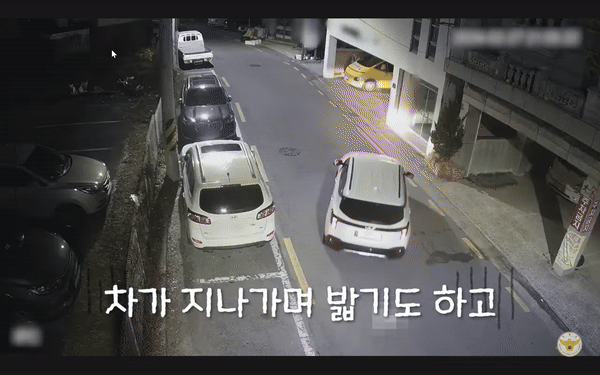[서울=뉴시스] 경남 하동군의 한 골목길에 떨어진 지폐들을 발견한 고등학생 모습. (사진=경찰청 유튜브 채널) *재판매 및 DB 금지