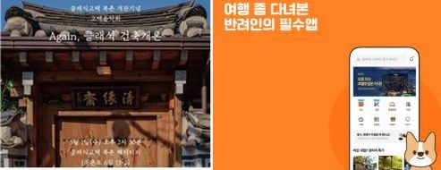 문체부-관광공사, 140개 관광혁신 사업 선정…사업당 최대 1억
