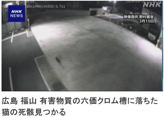 [서울=뉴시스]지난 3월 일본 히로시마(廣島)현 후쿠야마(福山)시 도금 공장에서 유해 물질인 6가 크롬 탱크에 떨어진 것으로 보이는 고양이의 사체가 30일 후쿠야마 시내에서 발견됐다고 NHK가 보도했다. <사진 출처 : NHK 캡처> 2024.04.30.