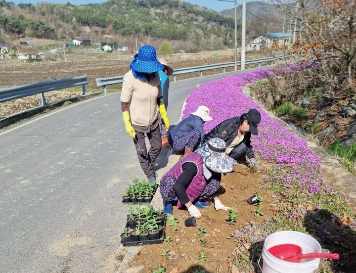 [보령=뉴시스] 도로 옆 공터에 꽃을 심는 마을주민들. (사진=보령시 제공) 2024.05.01. photo@newsis.com *재판매 및 DB 금지
