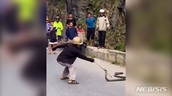베트남에서 장비도 없이 맹독을 가진 것으로 추정되는 뱀을 제압하는 한 남성의 영상이 소셜미디어(SNS)에 공유돼 논란이 됐다. 출처 : @docnhanh *재판매 및 DB 금지