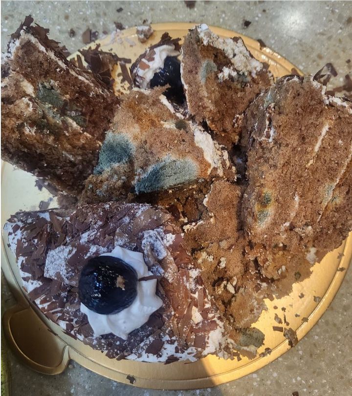 케이크 안에 곰팡이가 고루 퍼져있다. (사진=자영업자 온라인 커뮤니티 '아프니까 사장이다') *재판매 및 DB 금지