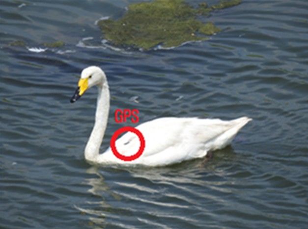associate_pic4