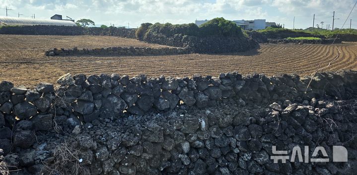 associate_pic4