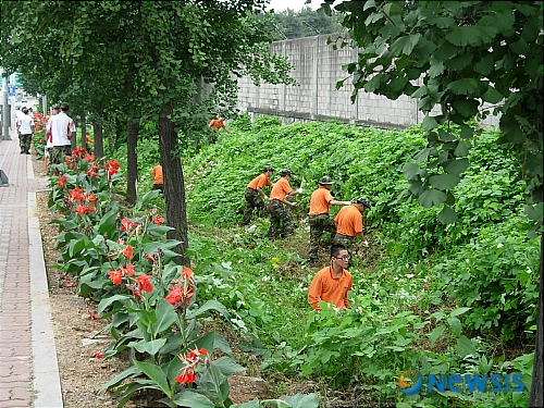 【김포=뉴시스】  경기 김포시 고촌면은 육군 제1928부대 장병 100여명과 함께 48번국도 천등고개부터 장곡 구국도변까지 제초작업 등의 환경정화운동을 벌였다고 7일 밝혔다.  지난 4일 실시된 환경정화운동에서 고촌면과 1928부대는 예초기와 낫 등의 장비를 동원해 제초 작업을 하는 한편, 주변 쓰레기 수거도 함께해 3톤가량의 방치폐기물을 수거했다./(사진 = 김포시 제공) 류숙열기자 ryusy@newsis.com