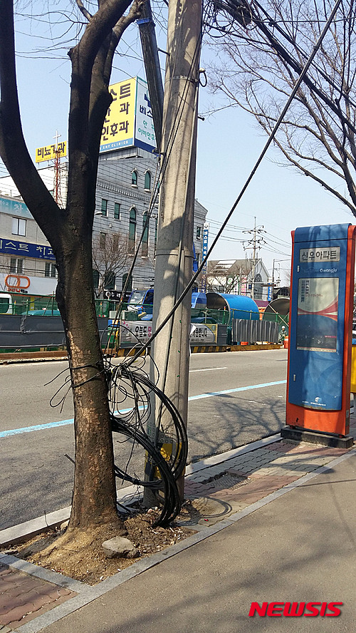 위험천만한 전신주. (사진=뉴시스DB)