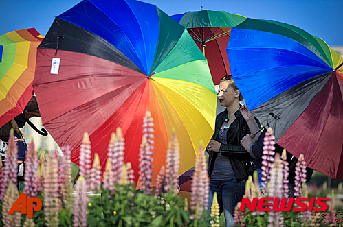 【부카레스트=AP/뉴시스】루마니아 부카레스트에서 17일(현지시간) 동성애자 권리보호 운동가들이 무지개색 우산을 들고 '국제 호모포비아 반대의 날' 시위를 벌이고 있다. 무지개색은 동성애 권리보호를 나타내는 상징색이다. 2016.05.18