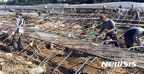 【청주=뉴시스】태풍으로 피해를 본 비닐하우스를 군 장병들이 철거하는 모습. (사진=뉴시스 DB) photo@newsis.com