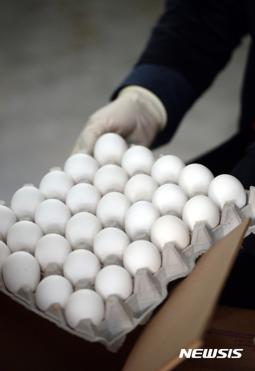 【인천공항=뉴시스】임태훈 기자 = AI(조류인플루엔자) 사태로 미국에서 수입된 달걀이 도착한 14일 오전 인천 중구 대한항공 화물터미널에서 농림축산검역본부 관계자가 미국산 달걀을 점검하고 있다.  미국 로스앤젤레스(LA)를 출발해 국내로 들어온 미국산 달걀은 총 100t, 약 160만개이다. 2017.01.14.  taehoonlim@newsis.com