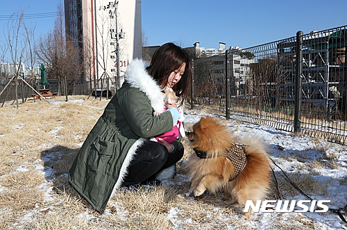 관악구 반려견 동반이용시설에서 즐기고 있는 주민과 반려견