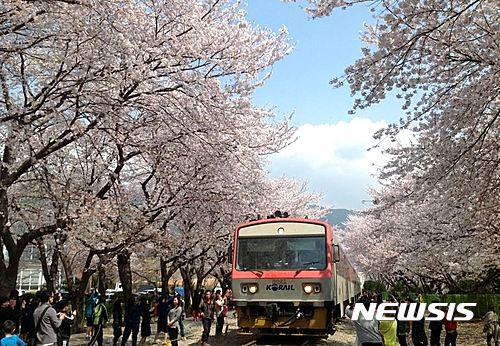 【부산=뉴시스】제갈수만 기자 = 코레일 부산경남본부는 오는 4월1일부터 10일까지 진해군항제 기간에 맞춰 철도를 연계한 자유 여행 상품을 출시한다고 15일 밝혔다. 2017.03.15. (사진= 코레일 제공)  photo@newsis.com 