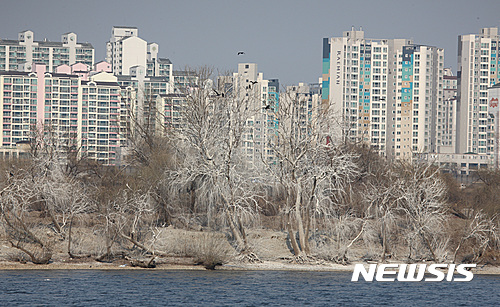 【서울=뉴시스】가마우지 배설물로 덮여있는 밤섬.  (사진 = 서울시 제공)  photo@newsis.com