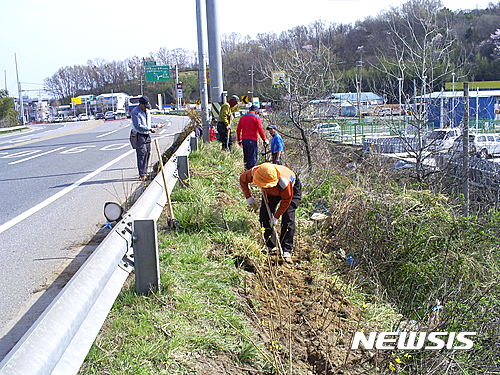 【완주=뉴시스】강인 기자 = 24일 전북 완주군이 국토공원화 사업과 노인일자리 창출 사업 일환으로 용진읍에 1.5㎞ 가량 꽃길을 조성하고 있다. 2017.04.24. (사진 = 완주군 제공)  kir1231@newsis.com