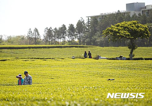 제주, 5월부터 고온 현상…맑고 건조한 날 이어져