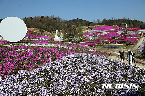 【산청=뉴시스】정경규 기자 = 5월 황금연휴를 맞아 화려한 봄꽃을 마음껏 즐길 수 있는 봄 꽃 여행 최적지, 경남 산청을 찾아보면 어떨까.사진은 산청 생포면 조각공원 꽃잔디 모습.2017.04.27.(사진=산청군 제공)  photo@newsis.com