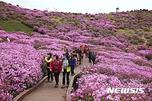 【합천=뉴시스】김기진 기자 = 26일 제21회 황매산철쭉제가 열리는 경남 합천 황매산을 찾은 관광객들의 모습. 황매산철쭉제는 30일부터 5월14일까지 열린다. 2017.04.27. (사진=합천군 제공)  photo@newsis.com 