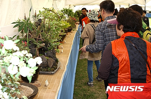 【보은=뉴시스】이성기 기자 = 충북 보은 속리산 주변에서 자생하는 야생화를 한자리에서 볼 수 있는 '2017년 속리산들꽃사랑회 야생화 전시회'가 5월 3일부터 7일까지 속리산 잔디광장에서 열린다. 사진은 지난해 행사 때 관람객이 전시된 야생화를 둘러보는 모습이다.2017.04.28(사진=보은군 제공)  sklee@newsis.com 