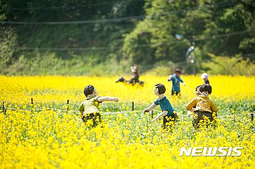  【태백=뉴시스】 김태식 기자 = 강원 태백산 유채꽃축제위원회는 오는 6월2일부터 6일까지 개최되는 유채꽃 축제 참가자를 모집한다고 28일 밝혔다. 사진은 지난해 축제때 유채꽃 모습. 2017.04.28(사진=태백시청 제공)  photo@newsis.com 