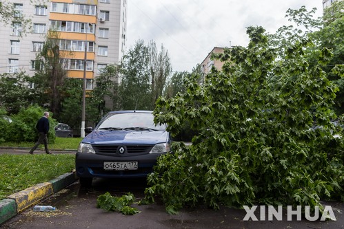 【모스크바=신화/뉴시스】러시아 모스크바에서 29일(현지시간) 강한 돌풍에 나무가 쓰러져 차량을 덮쳤다. 이날  러시아 모스크바에서는 폭우를 동반한 돌풍으로 11명 숨지고 70명이 다쳤다 2017.05.30