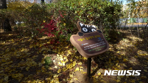 서울시, 여의도·월드컵공원 길고양이급식소 추가 설치