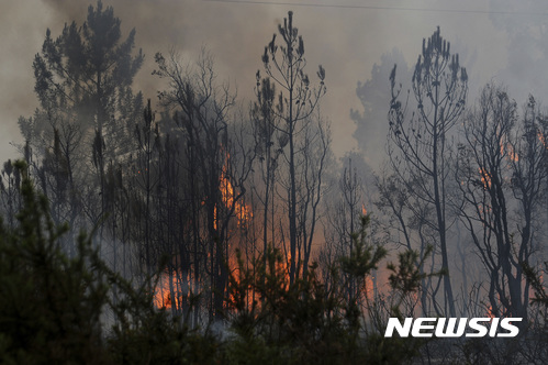 【피게이로 도스 비노스(포르투갈)=AP/뉴시스】포르투갈 중부 피게이로 도스 비노스 마을 인근 숲이 18일 거센 불길에 사로잡혀 있다. 포르투갈 사상 최악의 산불로 목숨을 잃은 사람 숫자가 61명으로 늘어난 가운데 포르투갈 대통령은 "포르투갈의 고통이 끝을 모른 채 이어지고 있다"고 말했다. 2017.6.19