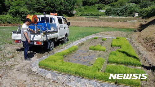 【함양=뉴시스】정경규 기자 = 함양군이 계속되는 가뭄으로 메말라가는 벼 묘종에 물탱크를 동원해 물을 공급하고 있다.2017.06.20.(사진=함양군 제공)photo@newsis.com