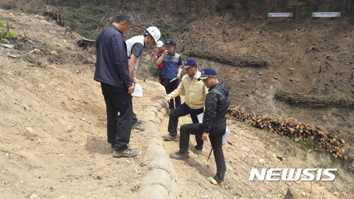 【태백=뉴시스】김태식 기자 = 고기연 동부지방산림청장이 20일 태백국유림관리소 관내 산불피해 응급복구 사업현장을 방문해 관계자들과 현장을 점검하고 있다. 2017.06.20(사진=태백국유림관리소 제공) photo＠newsis.com