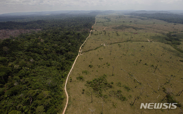 【리우데자네이루 = AP/뉴시스】 = 브라질 정부는 26일(현지시간) 아마존 열대우림 지역 내 '국립 구리·광물 보존지역(Renca)'을 광산으로 개발하려던 계획을 철회하는 내용의 포고령을 발표했다. 앞서 지난 8월 미셰우 테메르 브라질 대통령은 4만6100㎢ 넓이의 Renca를 해제하고 광산으로 개발한다는 포고령을 발표했다. 스위스 국토 넓이의 아마존 우림을 파괴하는 개발 계획이었다. 사진은 브라질 북부 파라주에 있는 아마존 우림지대가 기후 변화로 일부 황폐화 되어가는 모습. 2017.09.27.