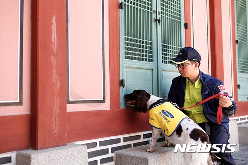 에스원, 목조문화재 흰개미 탐지에 탐지조사견 지원 