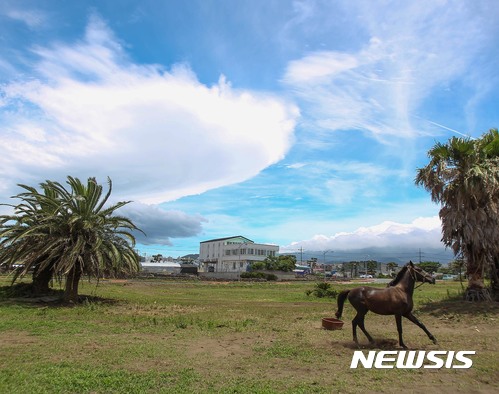 【제주=뉴시스】14일 제주 지역은 남해상에 위치한 고기압의 영향으로 맑은 날씨가 예상된다. (사진=뉴시스DB)