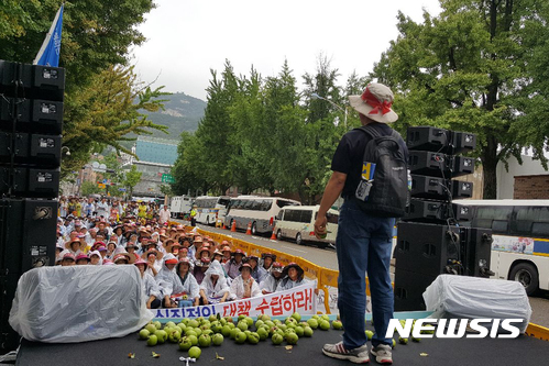 【영주=뉴시스】김진호 기자 =24일 청와대 앞에서 열린 '우박피해 대책촉구 전국대회'에서 경북 영주와 봉화, 전남 순천지역 우박피해 농민들이 '실질적인 대책'을 요구하는 집회를 열고 있다. 단상 위에 우박피해를 입은 사과가 놓여 있다. 2017.07.24 (사진= 영주시 제공) photo@newsis.com