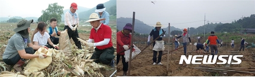 【괴산=뉴시스】이성기 기자 = 24일 오후 자유한국당 충북 동남4군 당원협의회(위원장 박덕흠 국회의원) 소속 당원(오른쪽)과 국회 '포용과 도전' 모임 소속 나경원·유민봉·송희경·김선동 의원 등이 괴산군 청천면을 찾아 수해복구 봉사활동을 펼치고 있다.2017.07.24(사진=박덕흠 의원실 제공) sklee@newsis.com 