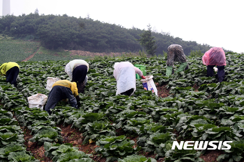 농정개혁위원회 17일 출범···농업· 식품정책 점검· 개혁과제 발굴