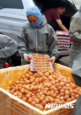 '살충제 계란' 파문···강원도교육청 '급식에 계란 사용 중지' 