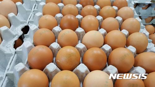 살충제 계란 13곳 추가 검출···부적합농장 45곳으로 늘어