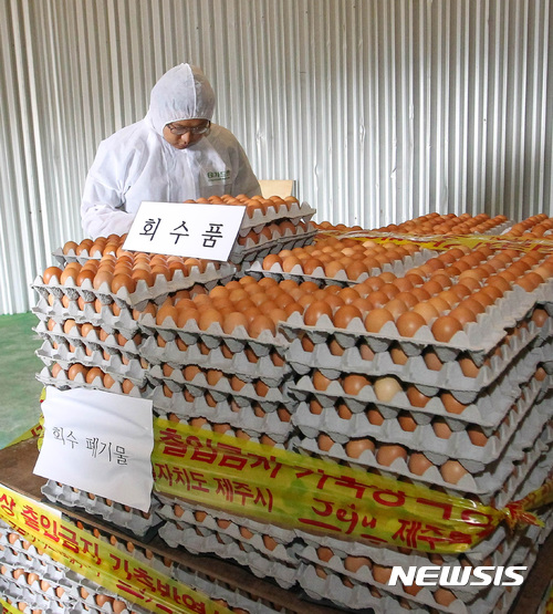 '살충제 계란' 잔류농약 검사 제각각?···정부 파악나서