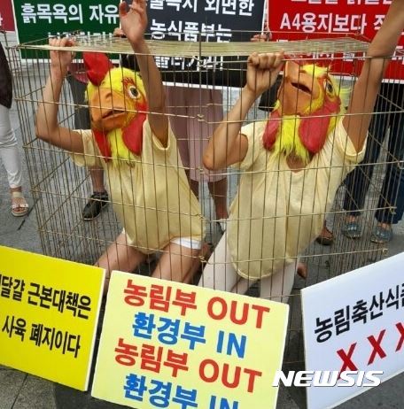 【서울=뉴시스】 한국동물보호연합, 케어 등 동물보호단체들은 23일 서울 광화문 광장에서 기자회견을 열고 "농림축산식품부는 살충제 달걀의 원인인 '공장식 축산'과 '감금틀 사육'을 폐지해야 한다"고 밝혔다.2017.08.23. (사진=한국동물보호연합 제공)