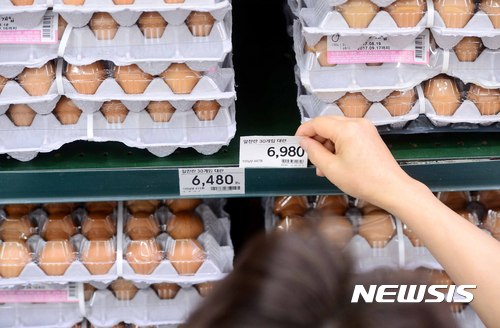 정부, 살충제 계란 난각코드 또 누락···1곳서 2개 사용