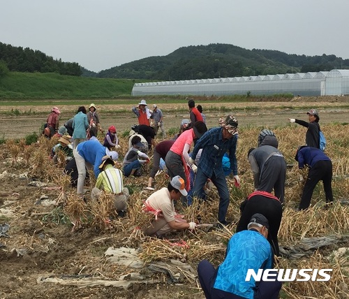 서울시 농부인턴 00명 선착순 모집 