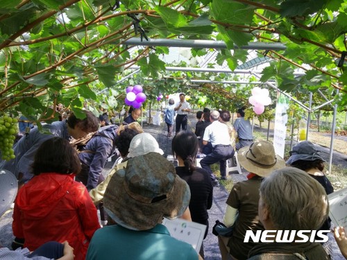 【안동=뉴시스】류상현 기자 = 경산 지심농원에 도시민들이 찾아와 팜파티를 즐기고 있다. 2017.09.10 (사진=경북도 제공) photo@newsis.com 