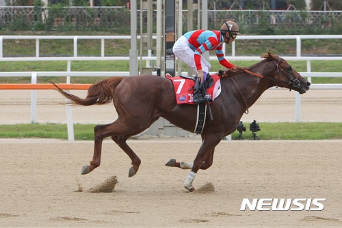 【서울=뉴시스】10일 경기 과천시 렛츠런파크 서울에서 열린 ‘제2회 코리아스프린트’에서 일본의 ’그레이스풀립‘이 가장 먼저 결승선을 통과하고 있다. (사진=한국마사회 제공)