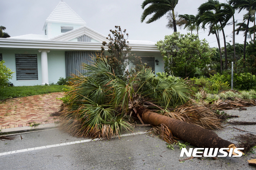 【포트 로더데일=AP/뉴시스】허리케인 어마가 강타한 미국 플로리다주 포트로더데일에서 10일(현지시간) 강풍으로 야자나무가 부러져 집 앞에 쓰러져 있다. 2017.09.11 