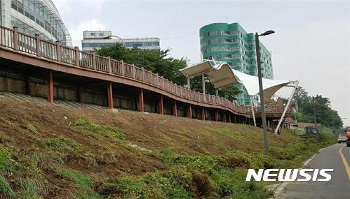 생태계교란식물, 서울 한강수변 축구장 100개 면적 점령