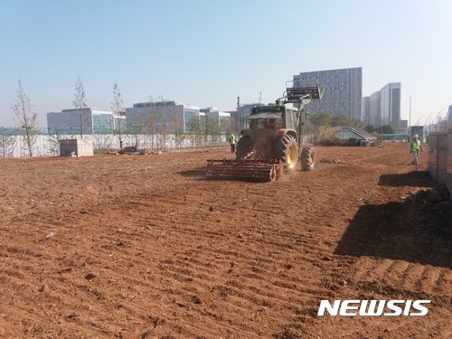 강서구, 마곡역 철도부지에 유채꽃밭 조성